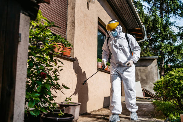 Best Pest Removal Services  in Adel, GA