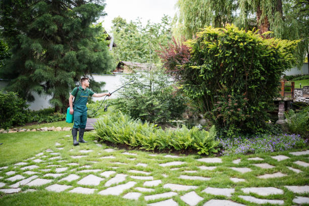 Best Local Pest Control Services  in Adel, GA