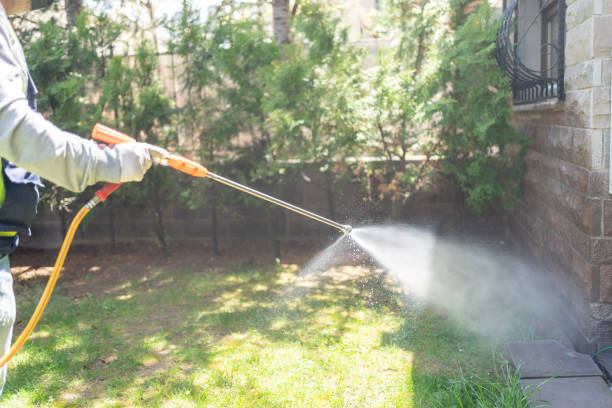 Best Insect Control  in Adel, GA