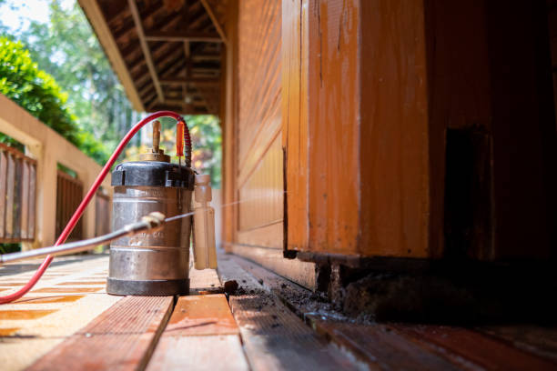 Best Ant Control Services  in Adel, GA